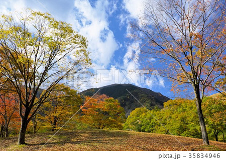 秋の公園 秋の公園 35834946