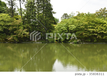 仙洞御所 北池 女院御所の池 仙洞御所 北池 女院御所の池 35836311