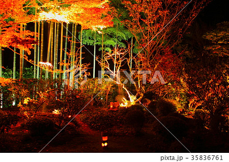 宝泉院 宝泉院 35836761