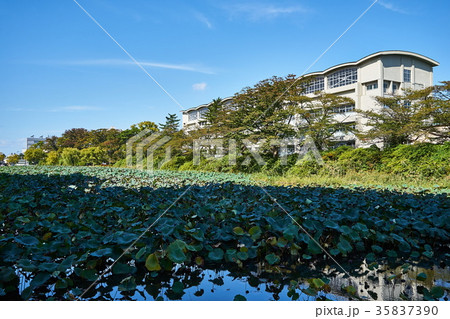 秋田　千秋公園のお堀 35837390