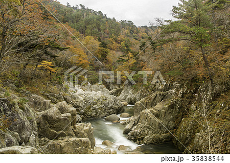福島県いわき市夏井川渓谷 35838544