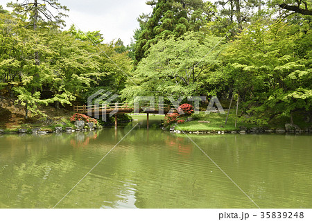 仙洞御所　南池　紅葉橋 35839248