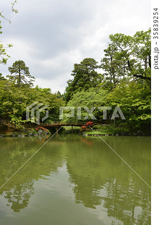 仙洞御所 南池 紅葉橋 仙洞御所 南池 紅葉橋 35839254