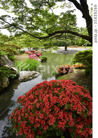 仙洞御所 南池 仙洞御所 南池 35839269