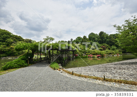仙洞御所 南池 八ッ橋 仙洞御所 南池 八ッ橋 35839331
