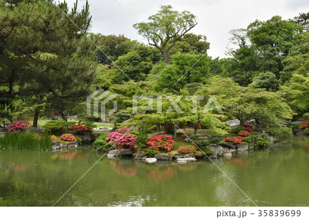 仙洞御所 南池 仙洞御所 南池 35839699