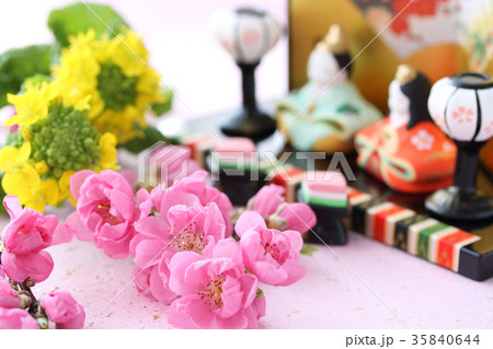 花桃 菜の花 和紙背景 花桃 菜の花 和紙背景 35840644