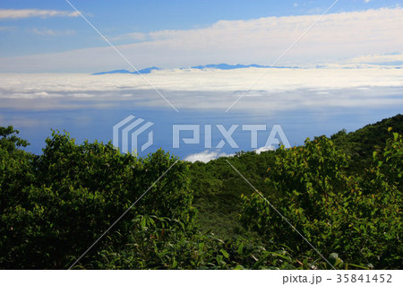 積丹岳登山道から見る日本海と雲海に浮かぶ増毛山地 35841452