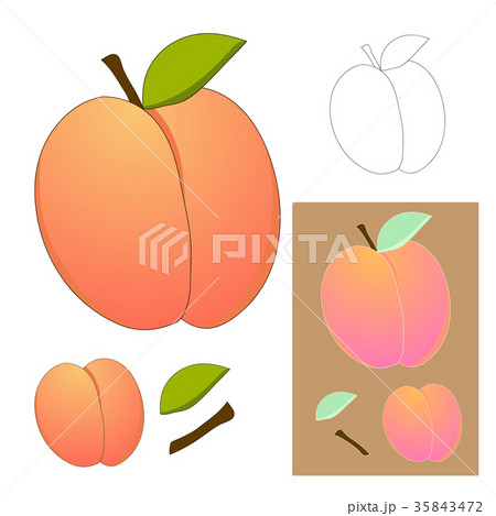 Cute Peach isolated on White Background. Vector 35843472