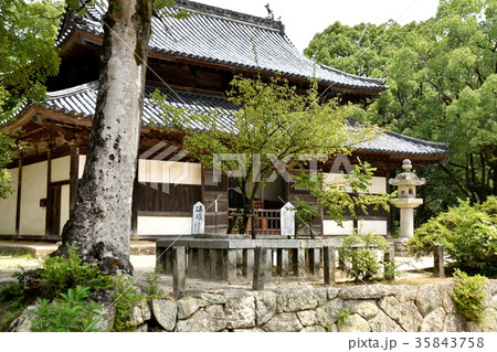 観世音寺 太宰府市 観世音寺 太宰府市 35843758