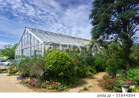 温室栽培 植物園 の写真素材