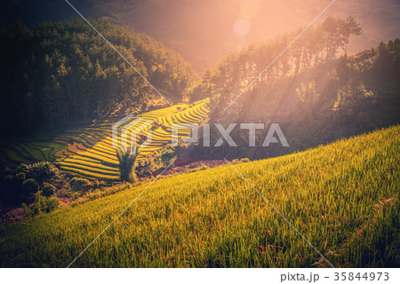 Rice fields on terraced with wooden pavilion Rice fields on terraced with wooden pavilion 35844973