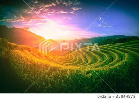 Rice fields on terraced with wooden pavilion 35844978
