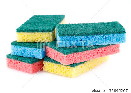 Sponges Sponges 35846267