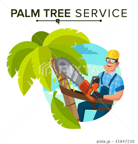 Palm Tree Removal Vector. Trimming Tree Or Removal Palm Tree Removal Vector. Trimming Tree Or Removal 35847230