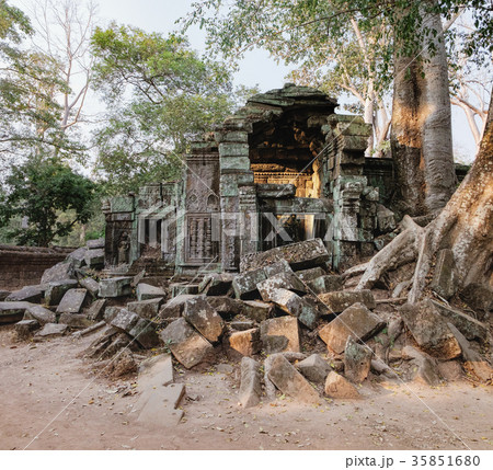 Ta Prohm Temple in Angkor Complex, Cambodia 35851680