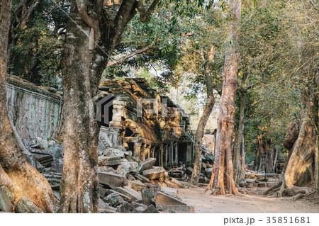 Ta Prohm Temple in Angkor Complex, Cambodia 35851681