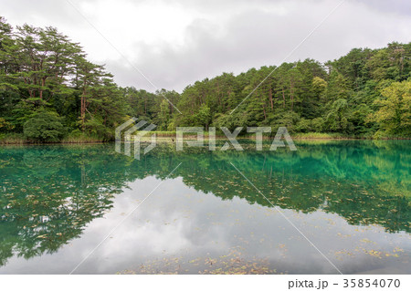 毘沙門沼(8月　五色沼　夏) 35854070