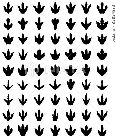footprints of dinosaurs footprints of dinosaurs 35854833