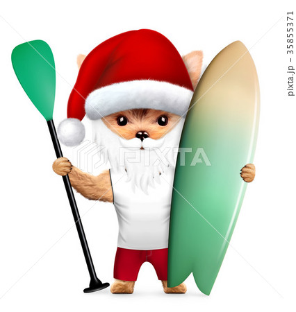 Cute Dog Santa on a beach holidays. 35855371