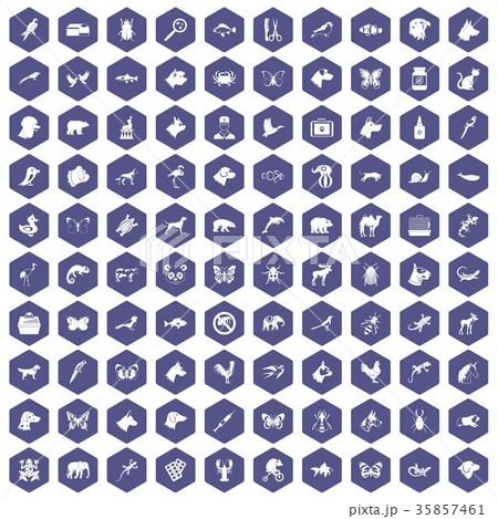 100 animals icons hexagon purple 35857461