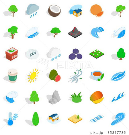 Big tree icons set, isometric style 35857786