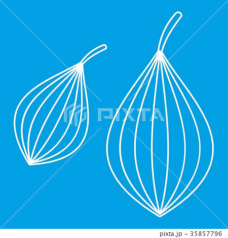Ajwain spice icon, outline style 35857796