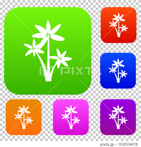 Palm tree set collection 35859478