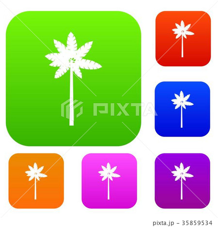 Palm woody plant set collection Palm woody plant set collection 35859534