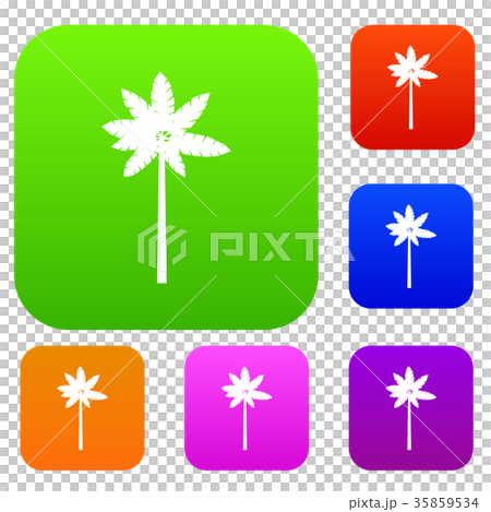 Palm woody plant set collection Palm woody plant set collection 35859534