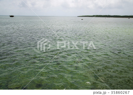 伊古桟橋 (黒島)から見る海 伊古桟橋 (黒島)から見る海 35860267