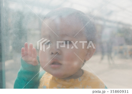 1 year old 1 year old 35860931