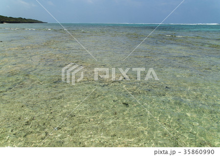 仲本海岸（黒島） 35860990