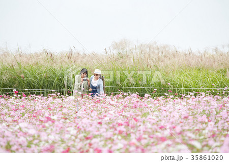 花 女性 女 35861020