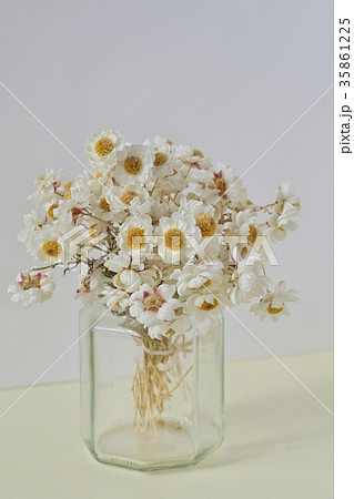 花かんざしのドライフラワーの写真素材