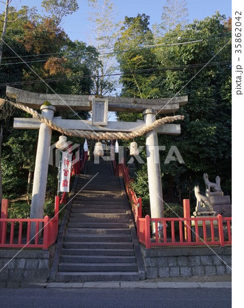 三蔵稲荷神社_福山市 三蔵稲荷神社_福山市 35862042