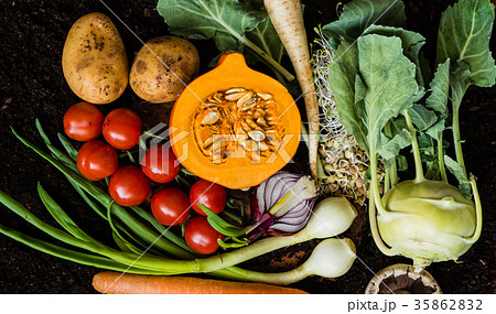 fresh organic vegetables 35862832