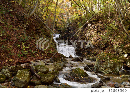 あだたら渓谷自然遊歩道 35863560