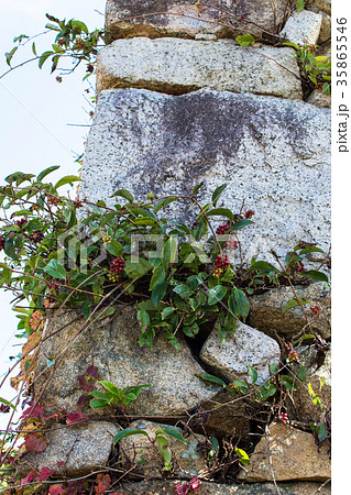 月山　富田城　大手石垣 35865546