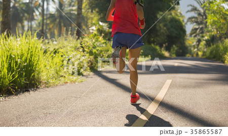 fitness woman runner running on the forest trail 35865587