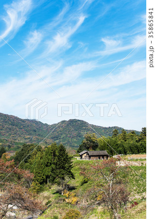 月山　富田城風景　 35865841