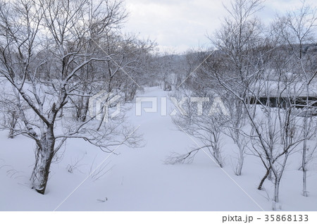 山形県庄内町の冬景色 35868133