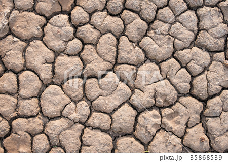 Ground crack texture background 35868539