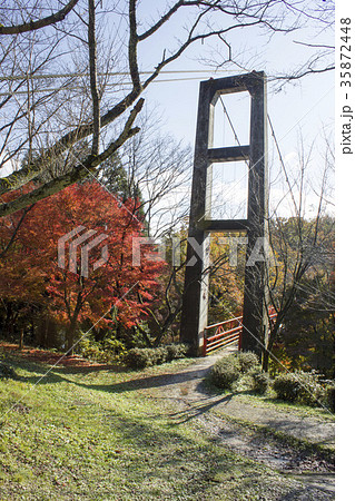 石川県森林公園 石川県森林公園 35872448