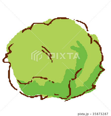 野菜 レタス 35873287
