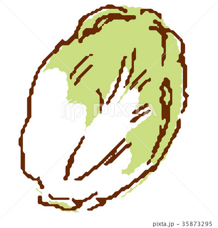 野菜 白菜 野菜 白菜 35873295