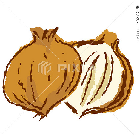 野菜 玉ねぎ 野菜 玉ねぎ 35873296