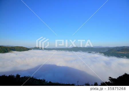 伐株山の雲海 伐株山の雲海 35875268