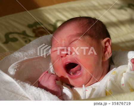 生後5日目の新生児 35876719