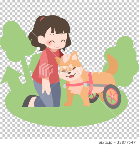 犬用車椅子と飼い主 屋外 のイラスト素材